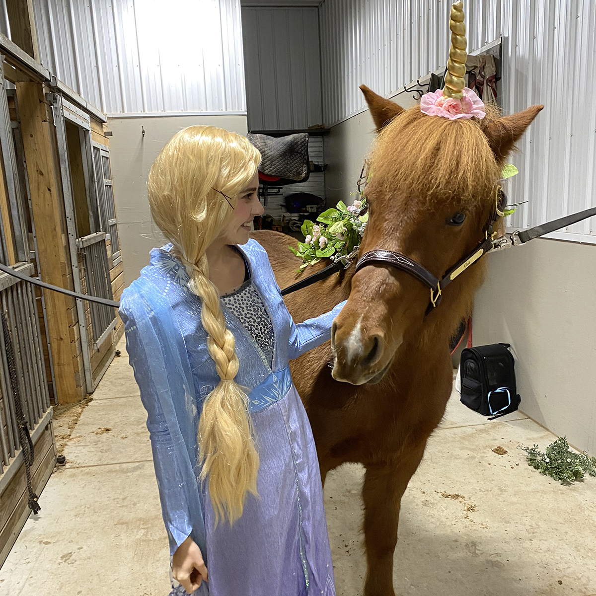 Horse & Treat - logo